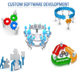 custom software development