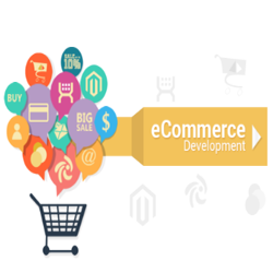 ecommerce software development